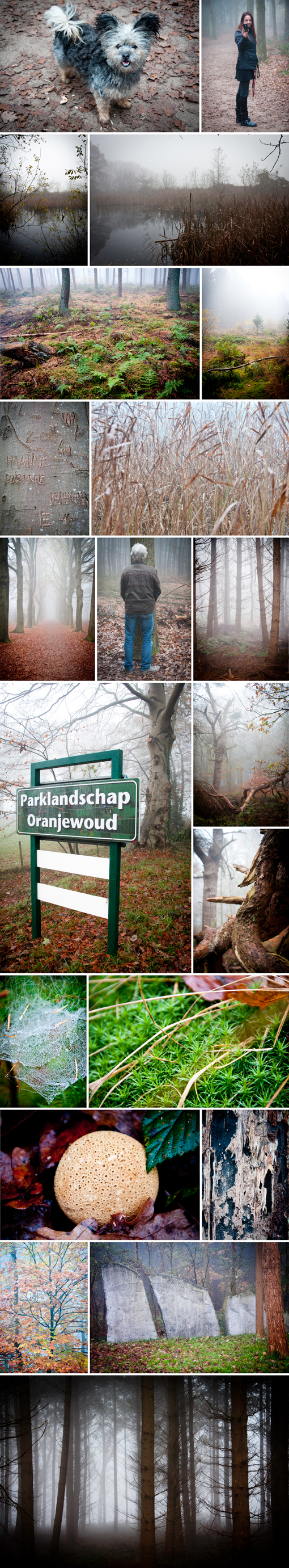 oranjewoud510