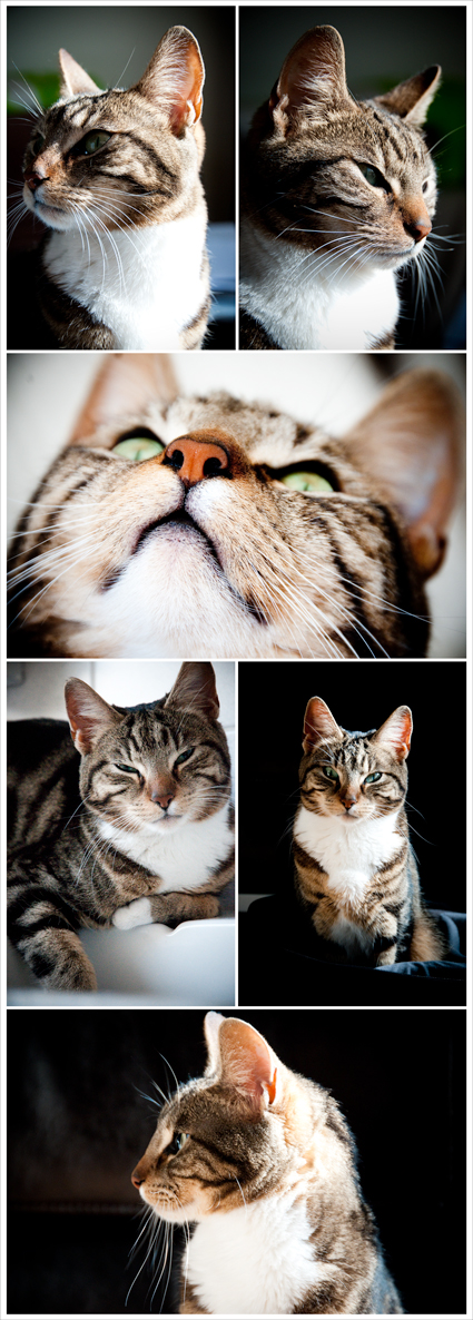 sjoerd