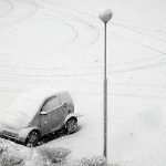 Winterwens