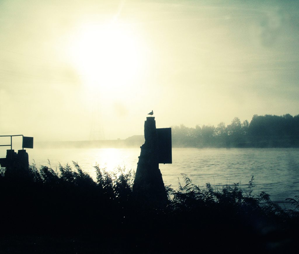 Spijkenisse; gistermorgen