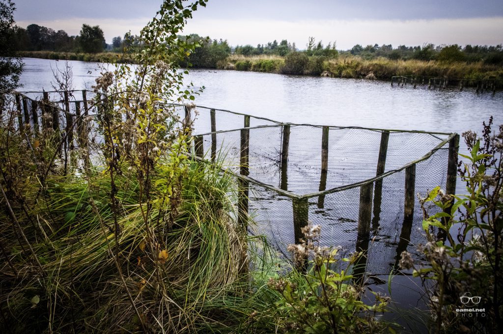 De kop leeg Yn De Fryske Deelen