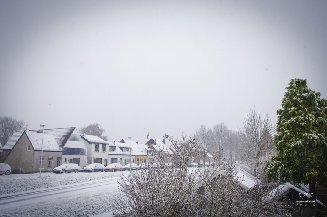 Voor de annalen | Winter 2010