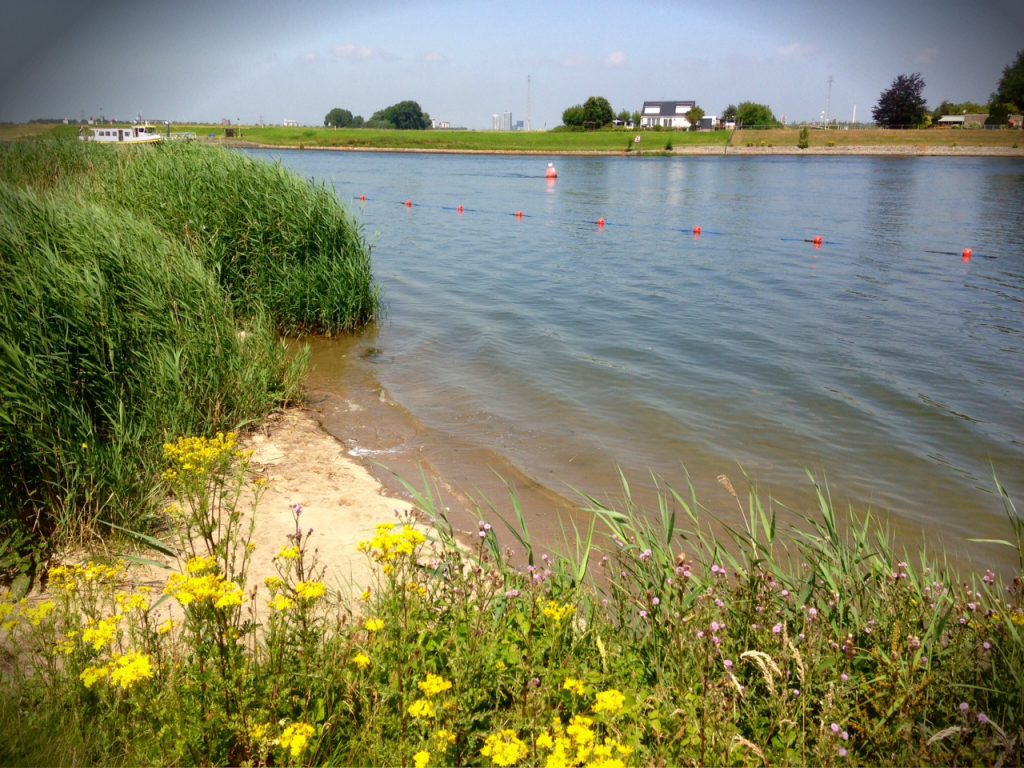 Moblog | Het leven is goed