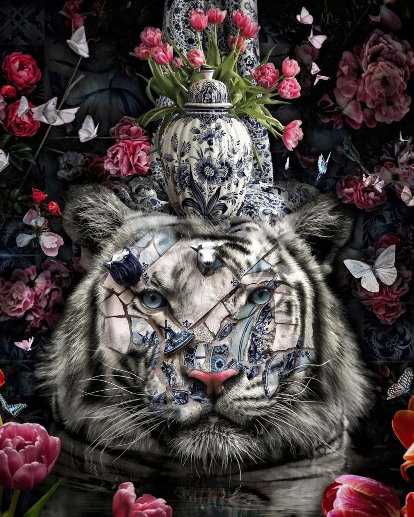 'Dreamy scenarios' | Marcel van Luit